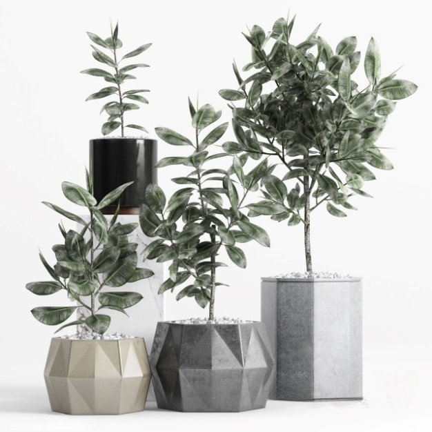 植物盆栽3D模型